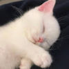 beyouniqueful